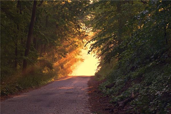 夢見以前的地方有什麼說法_周公解夢