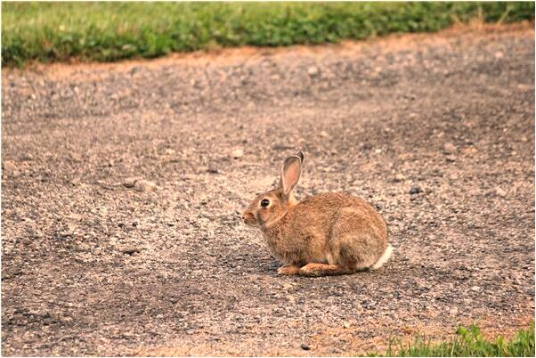 夢到自己的網店賣了衣服意味著什麼_周公解夢官網
