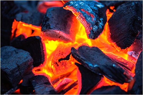 夢見把烏龜捉住殺死有什麼寓意嗎_周公解夢官網