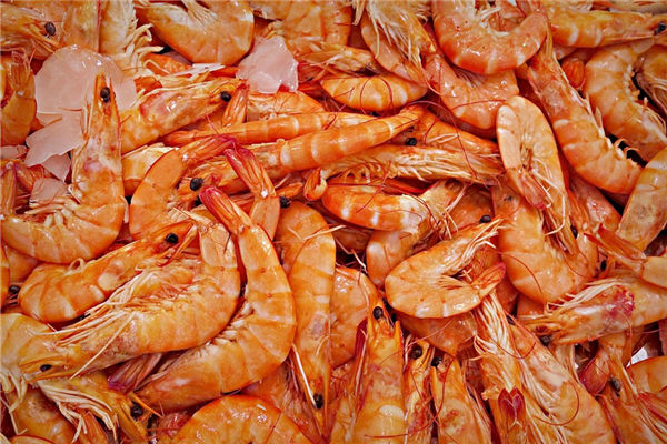 夢見大蝦_周公解夢