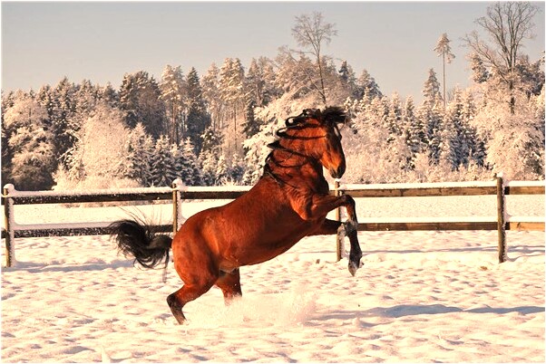 夢見一群白衣人在哭什麼寓意_周公解夢官網