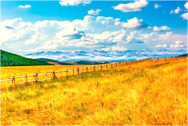 夢見彪形大漢是凶兆還是吉兆_周公解夢官網