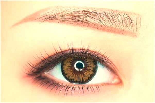 夢到了有好多和尚意味著什麼_周公解夢官網