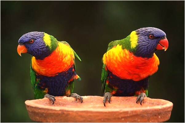 夢到男人睡在蛇上面是什麼意思？_周公解夢官網