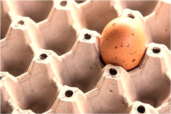 夢見兩隻大象有什麼含義_周公解夢官網