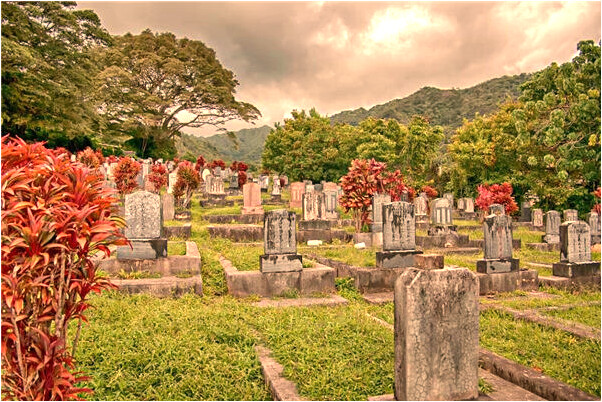 夢到坐頭鯨有什麼寓意嗎？_周公解夢官網