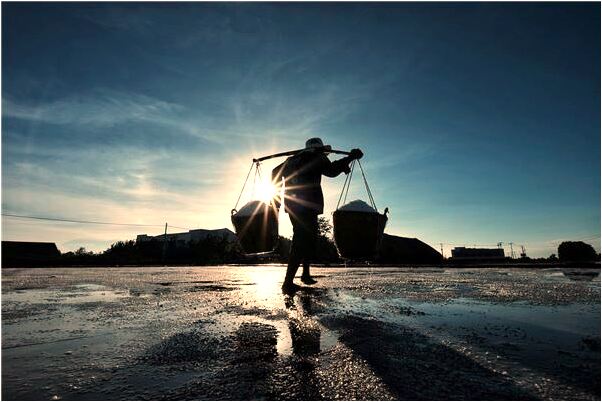 夢到別人提案沒有何寓意_周公解夢官網