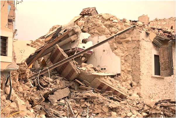 夢到烏龜成精是什麼兆頭_周公解夢官網