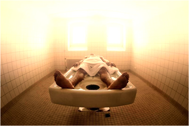 夢到了整理蘇子葉會有什麼預兆_周公解夢官網