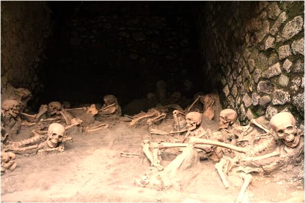 夢到了水中的蝸牛想抓是咋回事_周公解夢官網