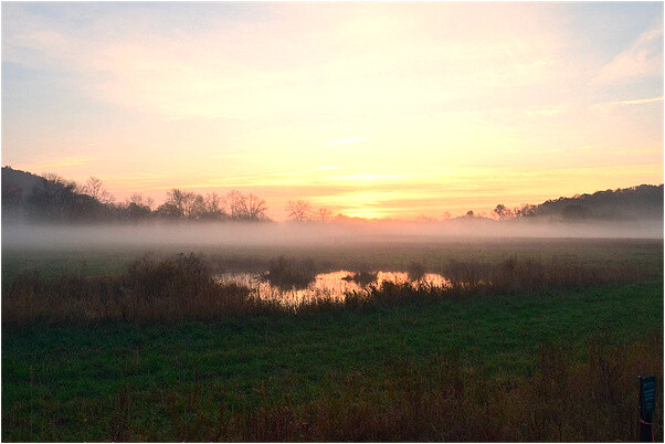 夢見拿別人的手機代表什麼_周公解夢官網