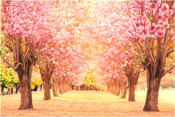 夢到了抓到一隻小孩的手是啥預兆_周公解夢官網