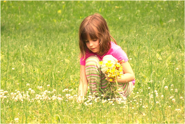 夢見丁香花開有什麼意思_周公解夢官網