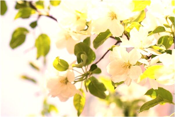 夢到車翻啦是什麼徵兆_周公解夢官網