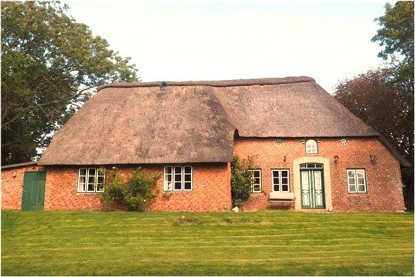 夢到地球要搬遷到外星意味著什麼_周公解夢官網