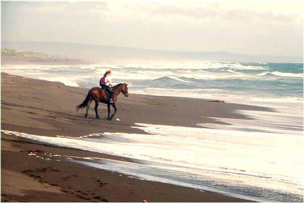 夢到大蛇帶小蛇預示什麼_周公解夢官網