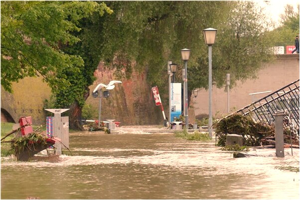 夢見我在河裡捉魚有什麼寓意嗎？_周公解夢官網