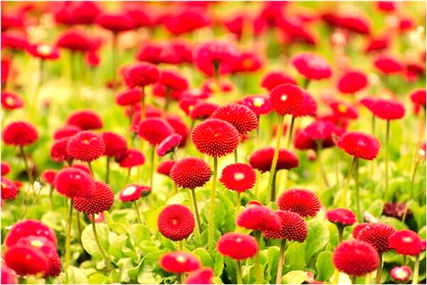 夢到去世的父親找我索要性有什麼預兆_周公解夢官網