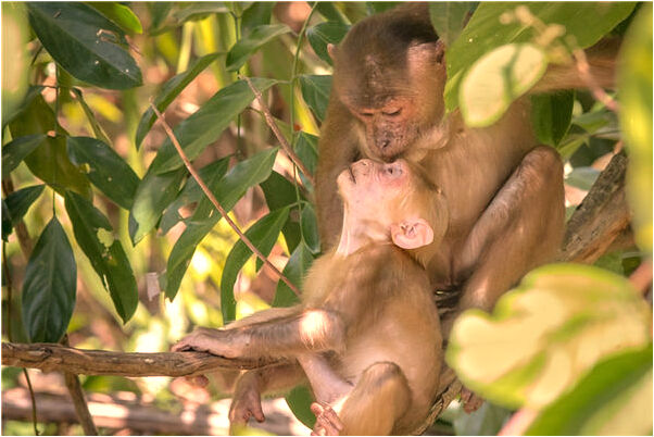 夢到自己已結婚預示什麼_周公解夢官網