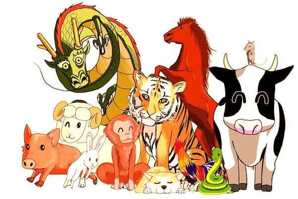 夢到了滿地接的全是黃瓜是什麼啟示_周公解夢官網