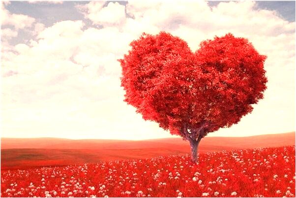 夢到一個陌生人親吻我代表著什麼？_周公解夢官網