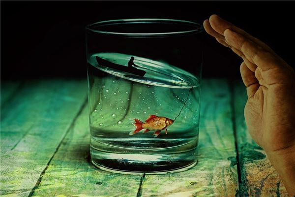 夢見抓金魚是什麼意思_周公解夢