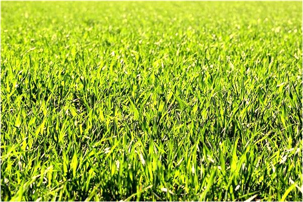 夢到了與同學吵架哭的很傷心是不是好的徵兆呢_周公解夢官網