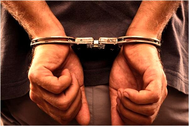 夢見綠蛇咬沒流血意味著什麼_周公解夢官網