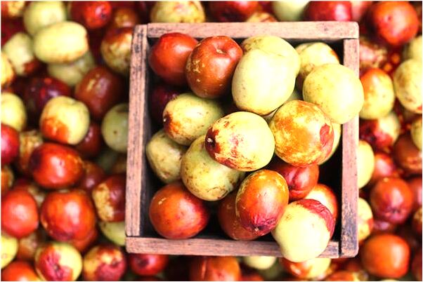 夢到了涓庝漢鎷奸厭代表著什麼_周公解夢官網