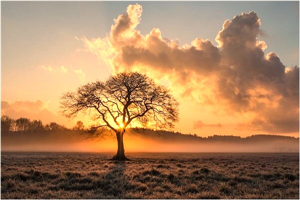 夢到了被蛇噴射毒液到臉上是什麼預兆？_周公解夢官網