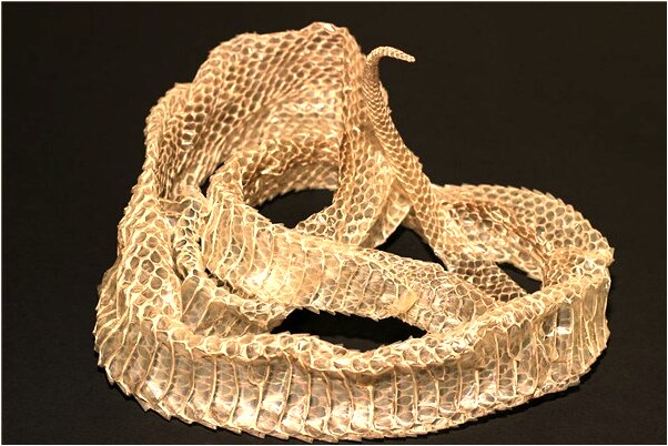 夢到自家的車翻了是啥預兆_周公解夢官網