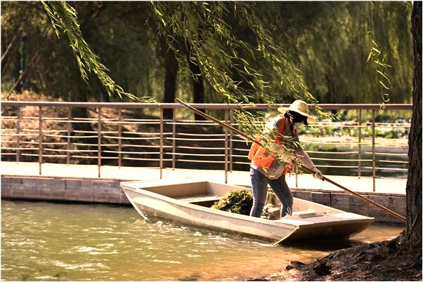 夢到了很多盆的魚是什麼預兆_周公解夢官網