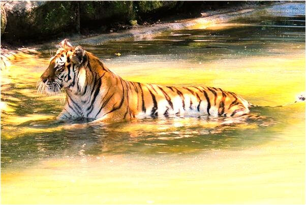 夢到了自己在喜歡的的人懷裡代表著什麼_周公解夢官網
