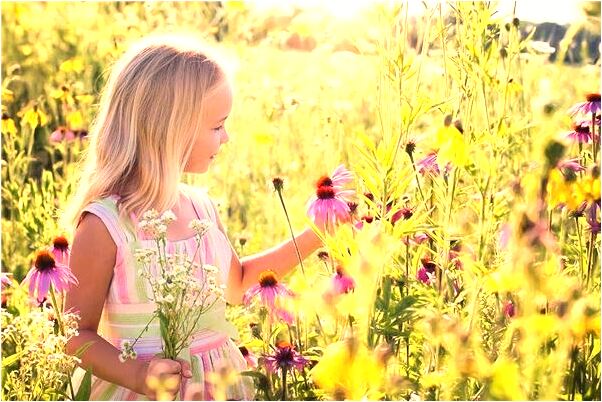 夢到跳樓逃跑什麼寓意_周公解夢官網