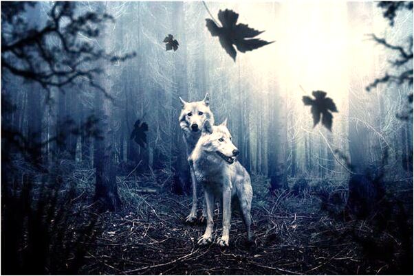 夢到了和男友在床上親親抱抱意味著什麼_周公解夢官網