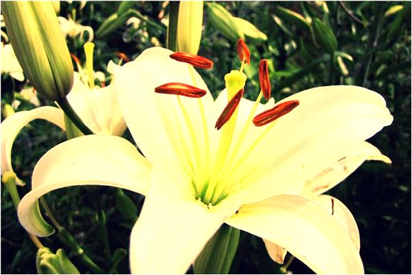 夢到了肩膀被打了一槍有什麼徵兆_周公解夢官網