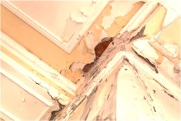 夢到了我柜子的東西給人拿走有什麼意義嗎_周公解夢官網