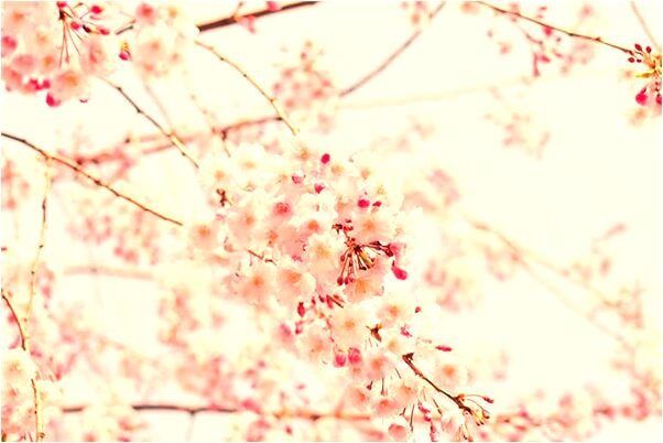 夢見作業寫的很快是什麼意思_周公解夢官網