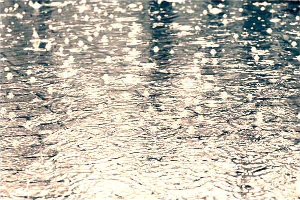 夢到舅舅外公來我家裡是什麼意思？_周公解夢官網