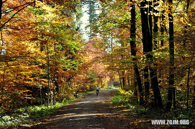 夢見別人生女兒_周公解夢夢到別人生女兒是什麼意思_做夢夢見別人生女兒好不好_周公解夢官網