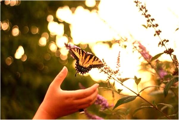 夢見鍋爐爆炸房子削平預兆了什麼嗎_周公解夢官網