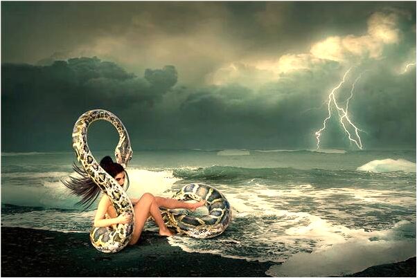 夢到了大樹參天是什麼徵兆_周公解夢官網