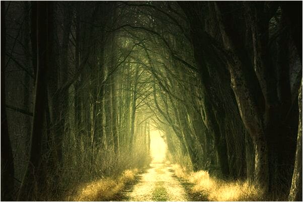 夢見撈到許多魚還鑽進衣服里意味什麼_周公解夢官網