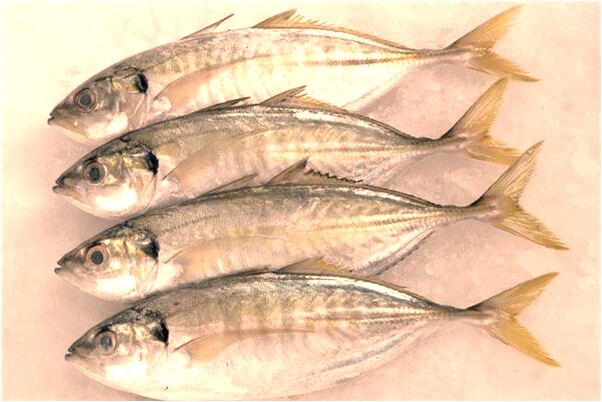 夢到和死去的爺爺奶奶預示什麼_周公解夢官網