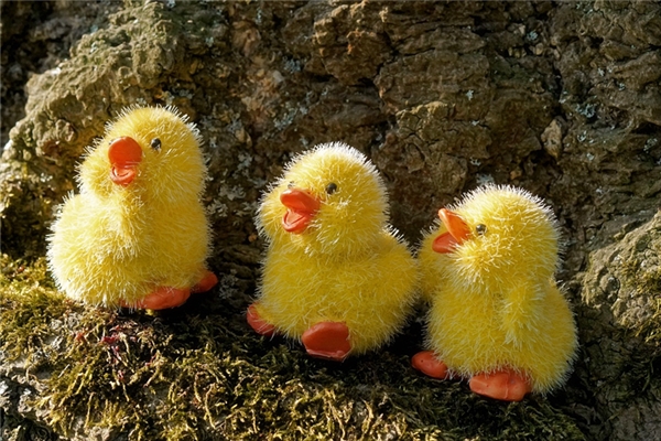 夢到了三胞胎女孩是什麼兆頭_周公解夢