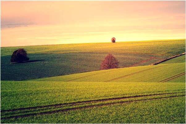 夢到了見到多年不見的老同學是不是好的徵兆呢_周公解夢官網