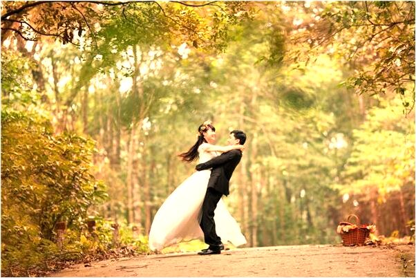 夢見生病流浪狗是咋回事_周公解夢官網