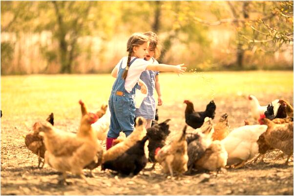 夢見同事擁有白色汽車生活是凶兆還是吉兆_周公解夢官網