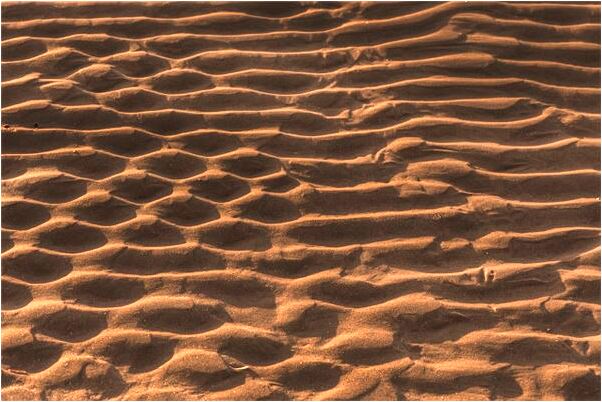 夢到了帶根捌杖回家預示著什麼_周公解夢官網