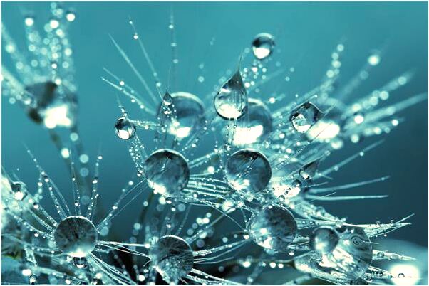 夢到了狗從樓上摔了下去的預兆_周公解夢官網